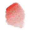 カドミウムレッドディープ / CADMIUM RED DEEP (底色)
