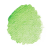 カドミウムグリーンペール / CADMIUM GREEN PALE (底色)